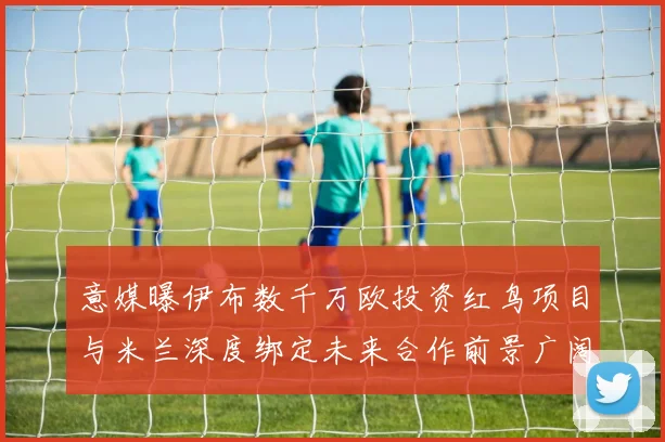 意媒曝伊布数千万欧投资红鸟项目与米兰深度绑定未来合作前景广阔